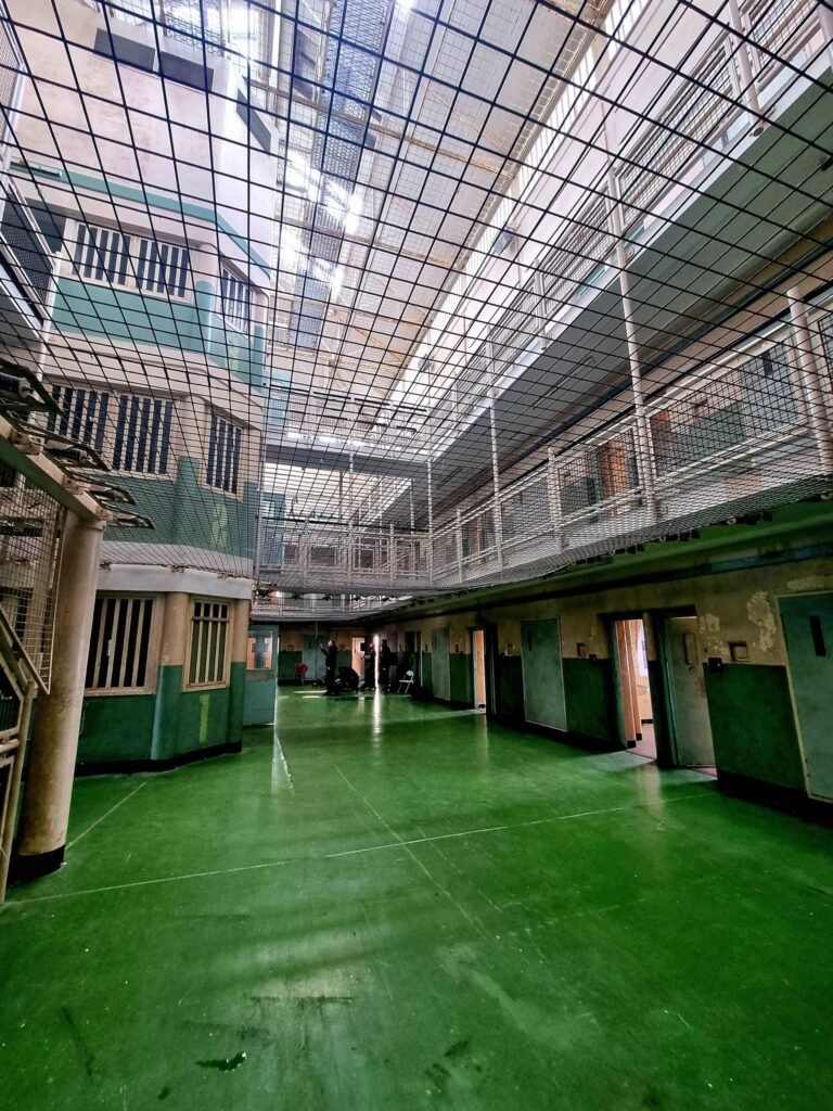 Strip out company Newcastle